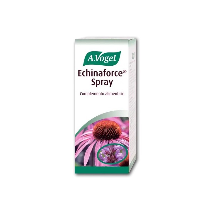 Vogel Echinaforce Spray 30ml