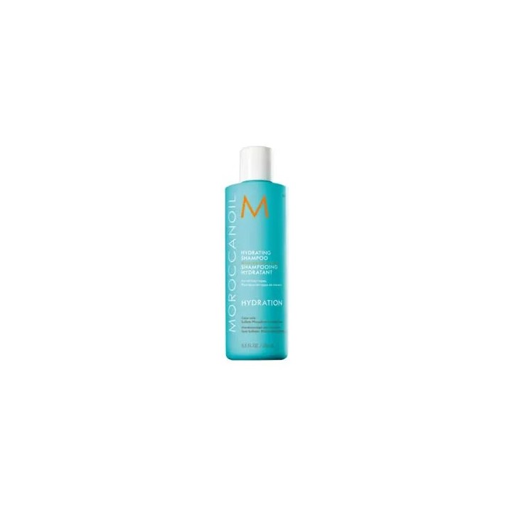 Hydratation Hydrating Shampooing 250ml