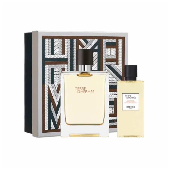 Hermès Terre D'Hermès Eau De Toilette Spray 100ml Coffret 2 Produits