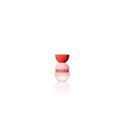 El Ganso Fun y Chic Edp 100 Spray
