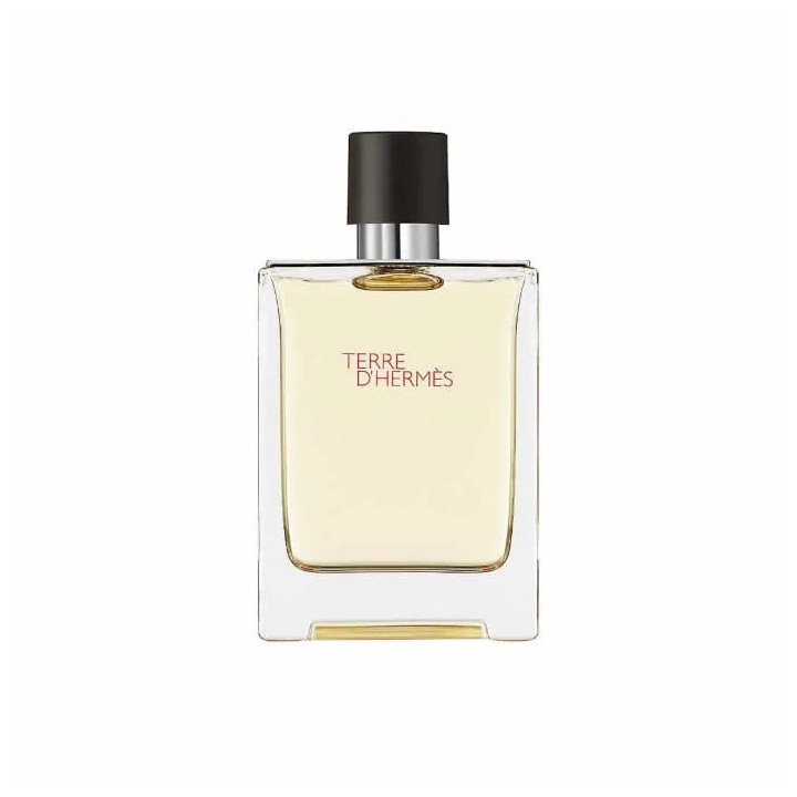 Hermes Terre D'Hermes Eau De Toilette Vaporisateur 100ml