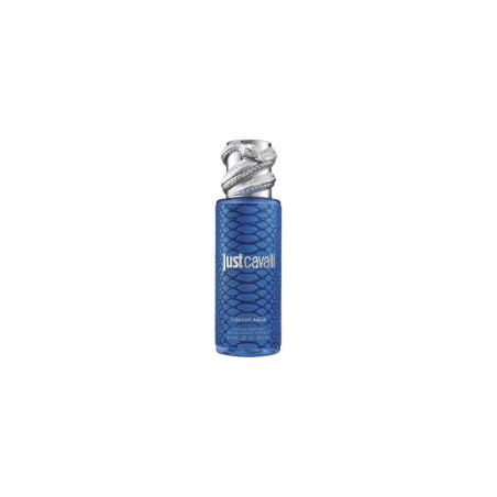 Roberto Cavalli Rc Just Cavalli Mist Blue 250ml