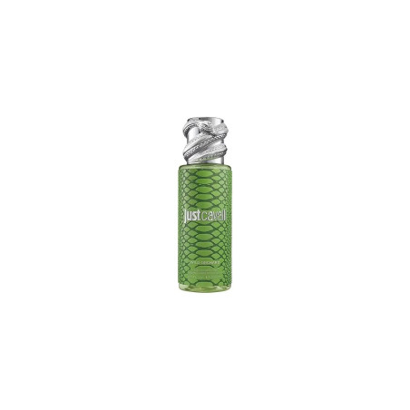 Roberto Cavalli Rc Just Cavalli Mist Green 250ml