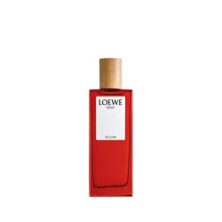 Loewe Solo Vulcan Ep 100 Vap