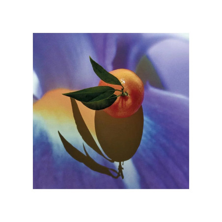 Loewe Solo Elixir 50 Vap M