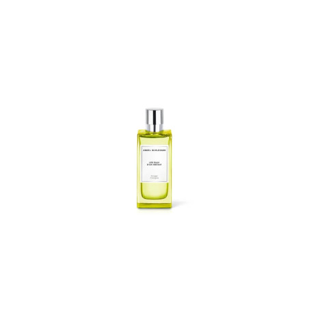 Angel Schlesser Les Eaux D'un Instant Ginger Cologne Edt Spray 100ml