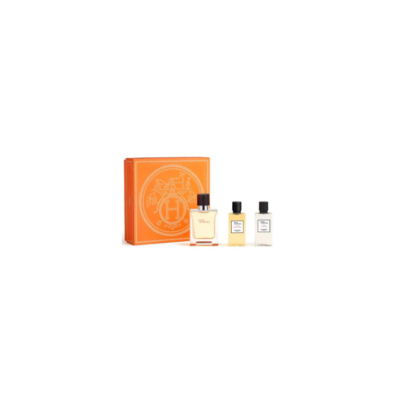 Hermès Terre D'hermes e T 50 Spray Gel40 Ash40