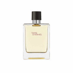 Hermes Terre D'Hermes Eau De Toilette Vaporisateur 100ml