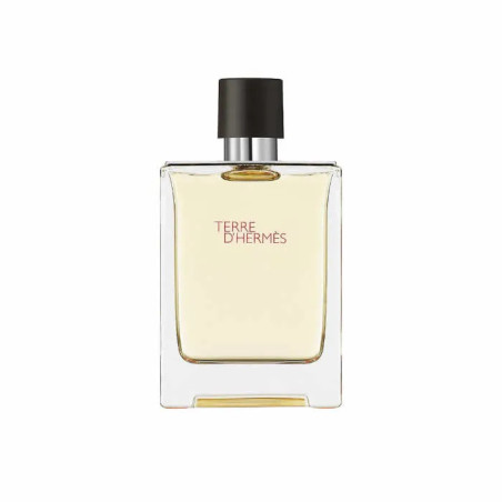 Hermes Terre D'Hermes Eau De Toilette Vaporisateur 100ml