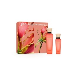 Adolfo Dominguez A D Agua Fresca Mango Palmarosa Edt Spray 120ml 60ml Sets