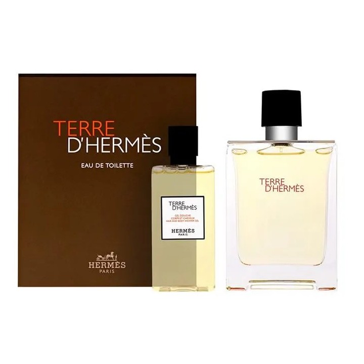 Hermès Terre D´Hermes Eau De Toilette Vaporisateur 100ml Coffret 2 Produits