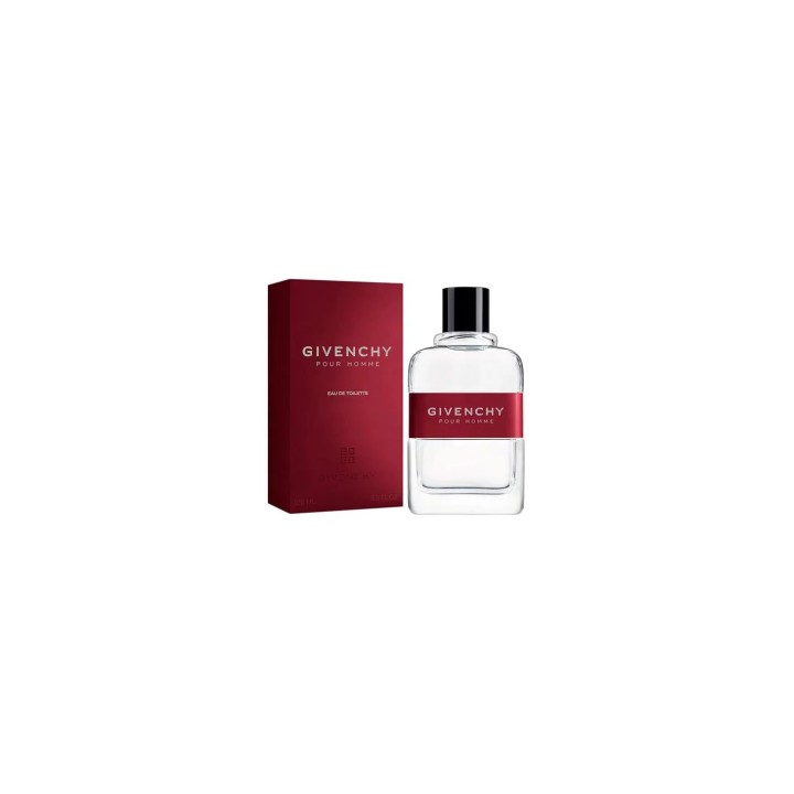 Givenchy Pour Homme Edt 100ml